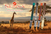 The Sensa Safari Deluxe Giraffe Ball Point