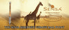 Safari Collection - Giraffe | Ball Point | Safari Serengeti Collection